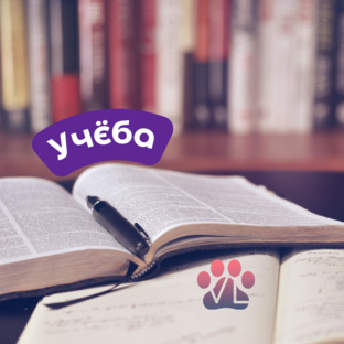 Учёба в университете