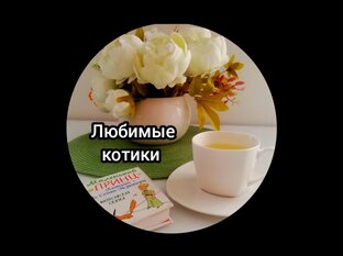 Котики 