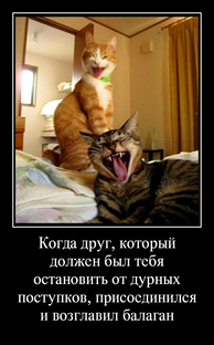 Демотиваторы: 41 - 50