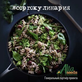 Разработали буклет с рецептами по сорго!