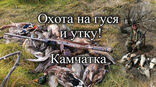 Охота на гуся и утку!