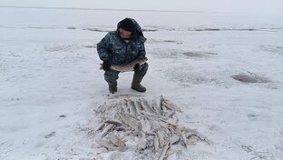 Рыбалка хапугой
