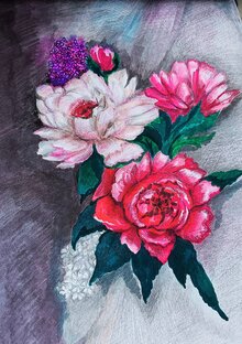 Цветы и Растения 