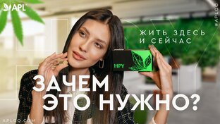Клеточное питание
