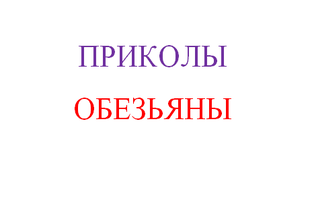 Приколы Обезьяны