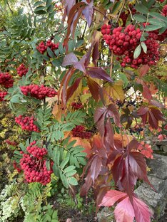 Новые публикации