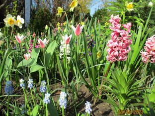 Весенний сад.