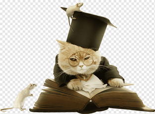 Работаем над ошибками