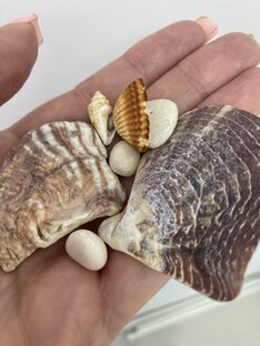 Чудеса рядом 