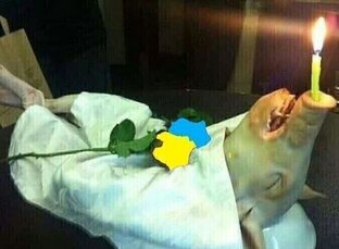 📢 Операция ликвидация🇷🇺👊