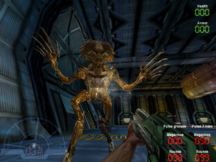 Aliens vs Predator