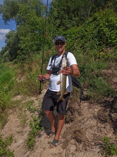 посты и статьи