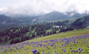 Путешествия