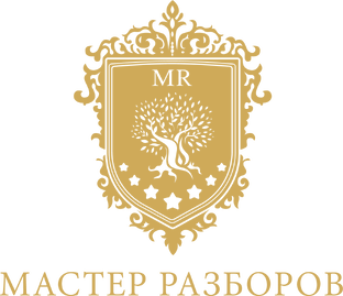 Моя деятельность в Академии