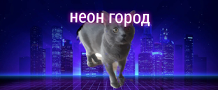 Биты