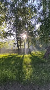 Путешествия