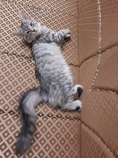 Детство Саши