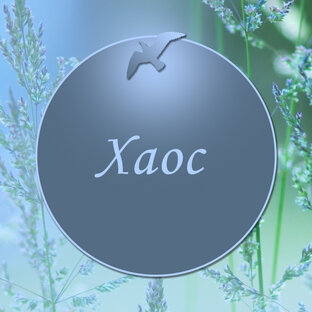 Первая помощь