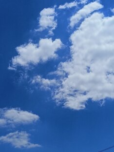 15.07.2022. 12:03 лето
