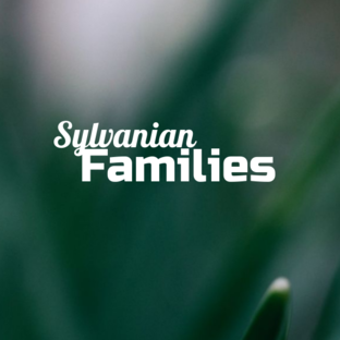 Sylvanian Families