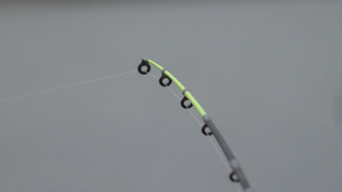 Рыбацкая удача / Ловля на Фидер