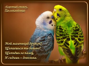Короткие стишки