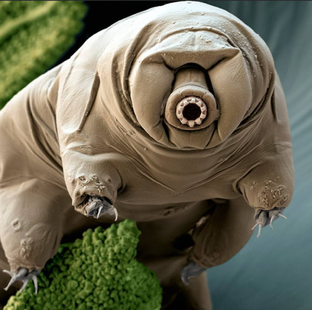 Интересные факты