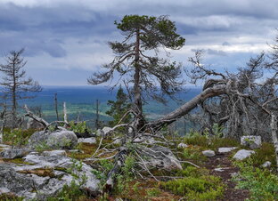 Карелия