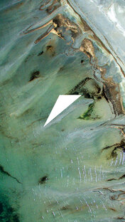 Образ жизни 