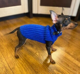 Мастер классы 