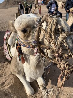 Моя Африка 💫