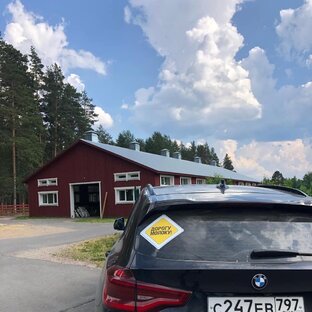 Молоко и цены: аналитика рынка