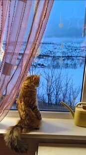 Джессика и птичка