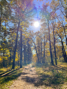 Осень золотая