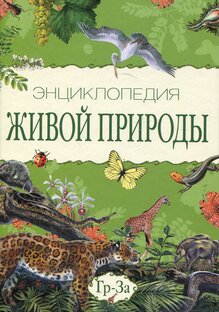 Рубрика "Энциклопедия"