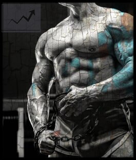 Программы тренировок.