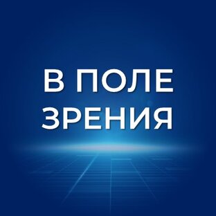 В поле зрения
