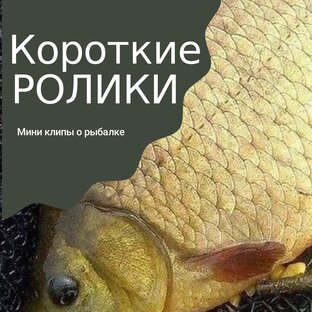 Короткие ролики