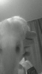 Смешные моменты с крысками