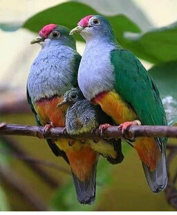 ИНТЕРЕСНЫЕ СТАТЬИ ПРО ВСЕ ЗНАКИ ЗОДИАКА