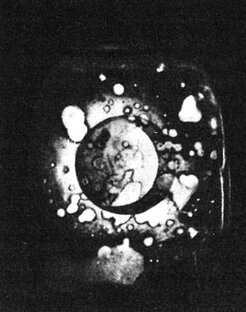 История научной фотографии