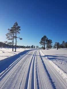 Тренировки 