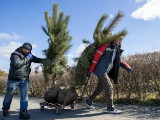 Благоустройство