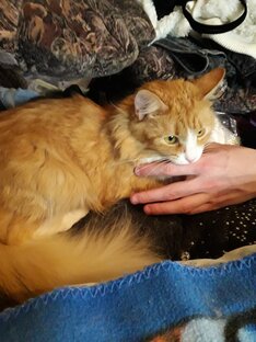 Стокгольмский синдром