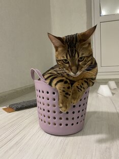 Что смотришь? 