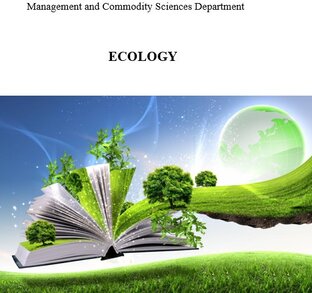 How to fill out your workbook by topic?