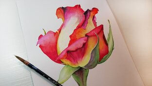 Все мои видео.