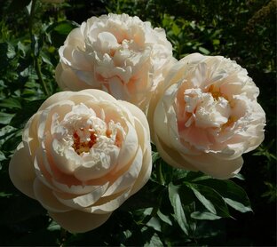 Просто истории из жизни