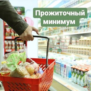 "живем на прожиточный минимум"