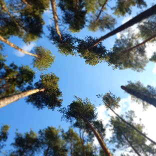 Поездки выходного дня